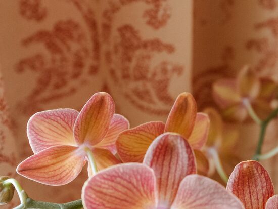 Detail at Hotel City Central Vienna