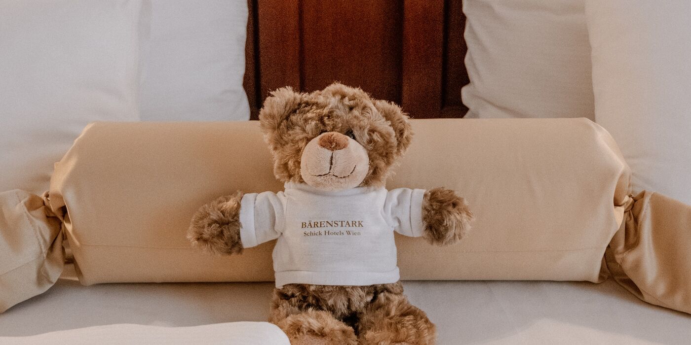 Teddy Hotel City Central