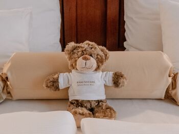 Teddy Hotel City Central