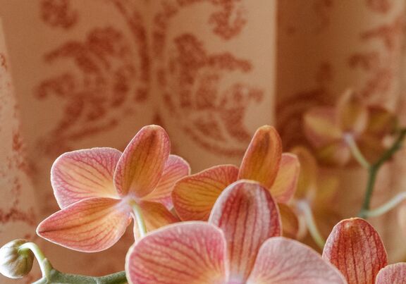 Detail at Hotel City Central Vienna