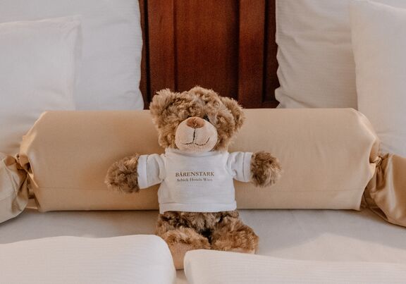 Teddy Hotel City Central