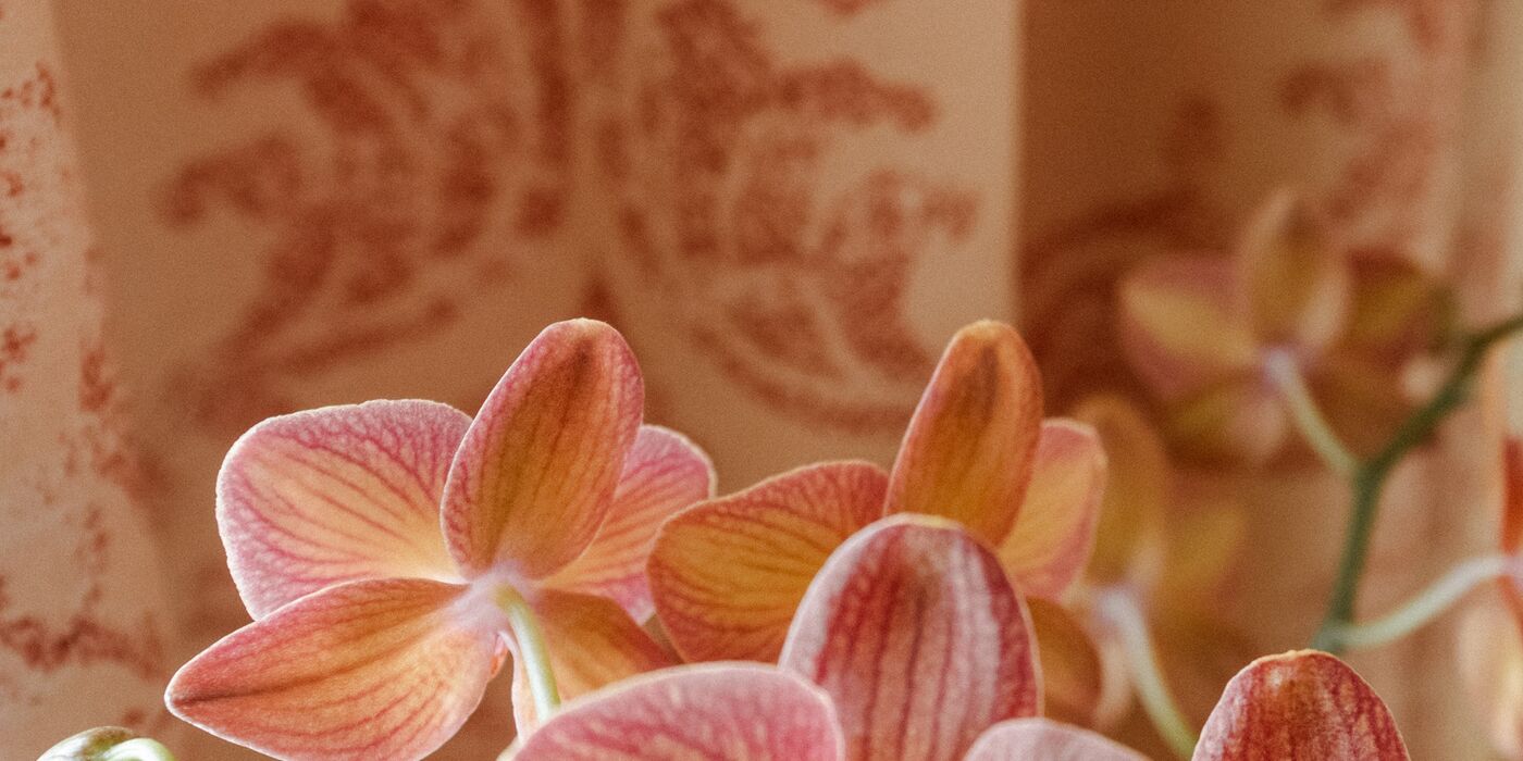 Detail at Hotel City Central Vienna