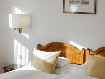 Double Room Standard Hotel City Central Vienna